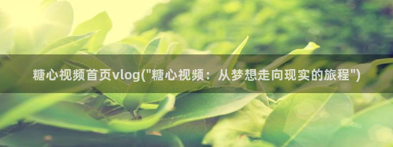 糖心新品vlog：糖心视频首页vlog(