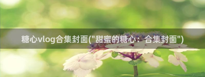 糖心vlog西：糖心vlog合集封面(\