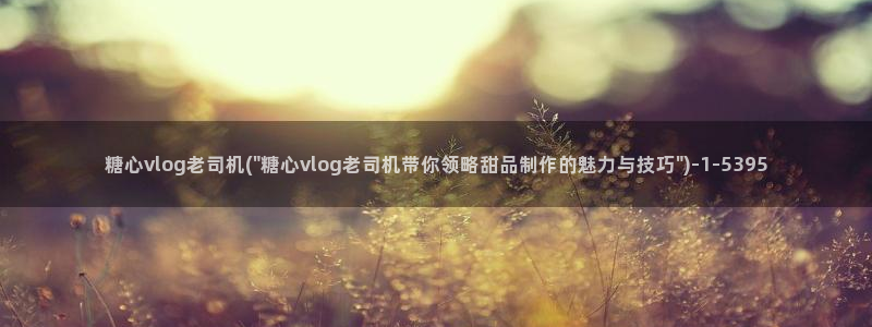 糖心vlog直播分成：糖心vlog老司机