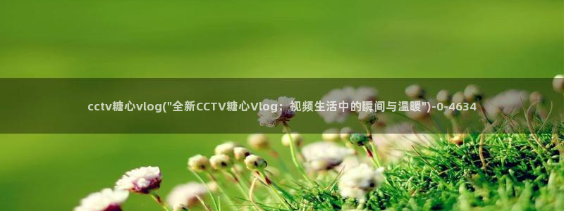 vip糖心Vlog：cctv糖心vlog