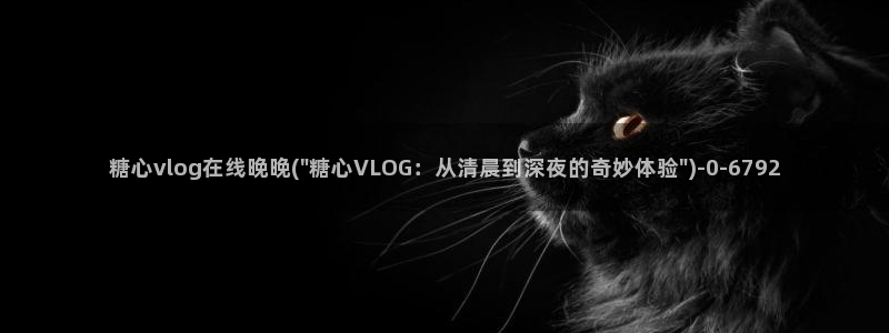 糖心vlog安安介绍