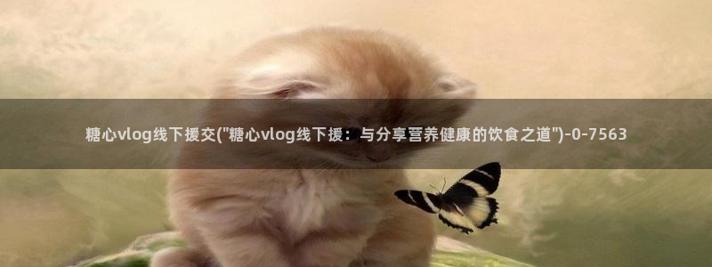 糖心vlog章