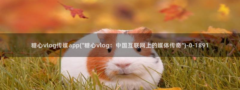 糖心导航VloG：糖心vlog传媒app