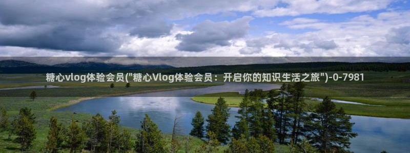 心糖vlog入口