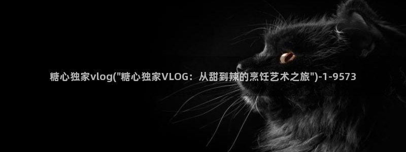 糖心vlog系列产品