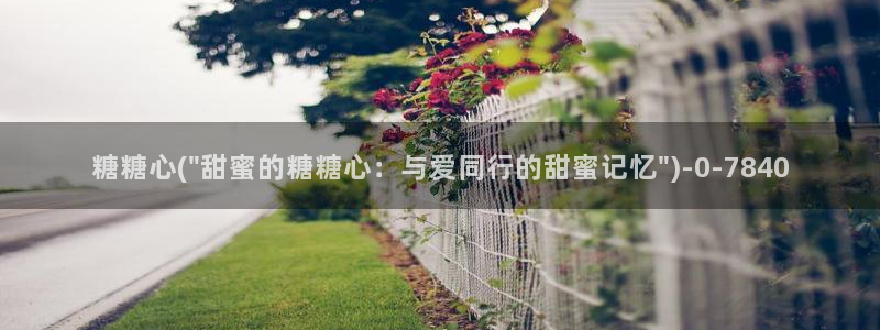 心糖vlog在线