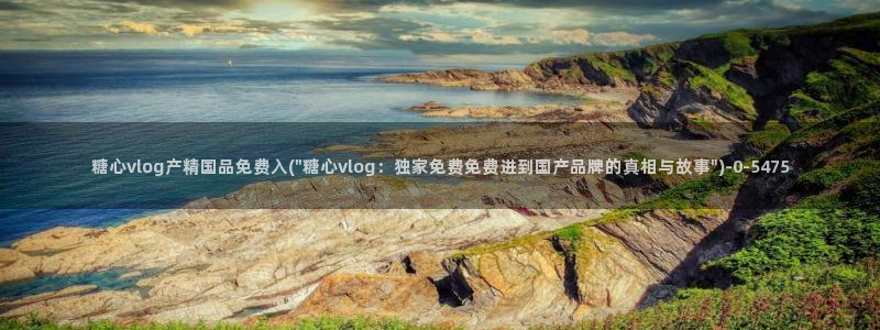 tx糖心vlog