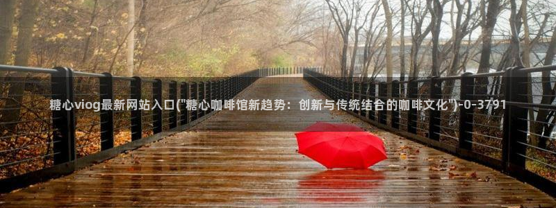 糖心vlog视频观看