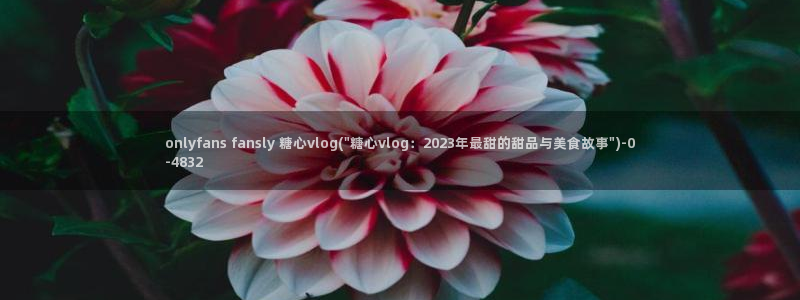 糖心vlog极品女神在线