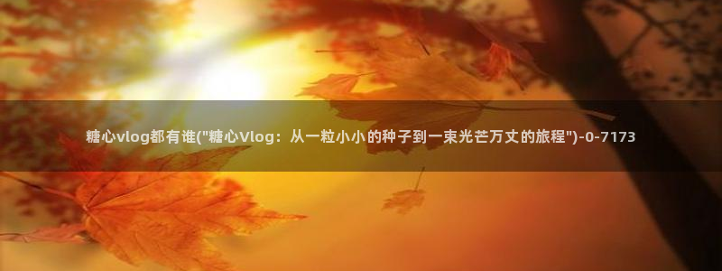 糖心vlog大全