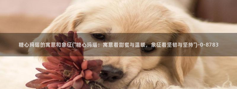 糖心八大家vlog