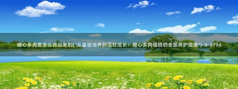 心糖vlog官网