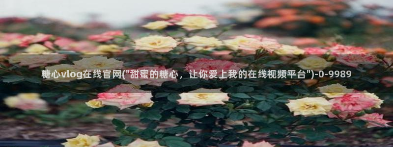t糖心vlog
