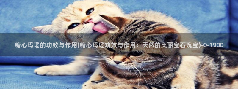 糖心vlog观看